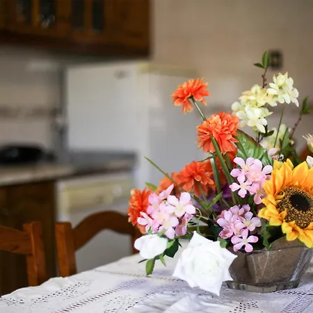 Do Salgueirinho 度假居 圣托·蒂尔索