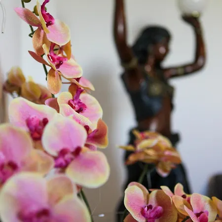 度假居 Do Salgueirinho