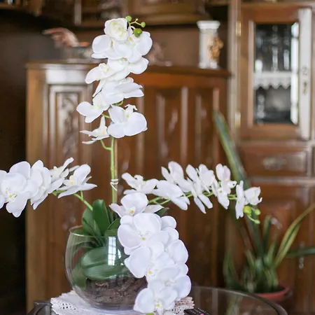 Do Salgueirinho * Santo Tirso