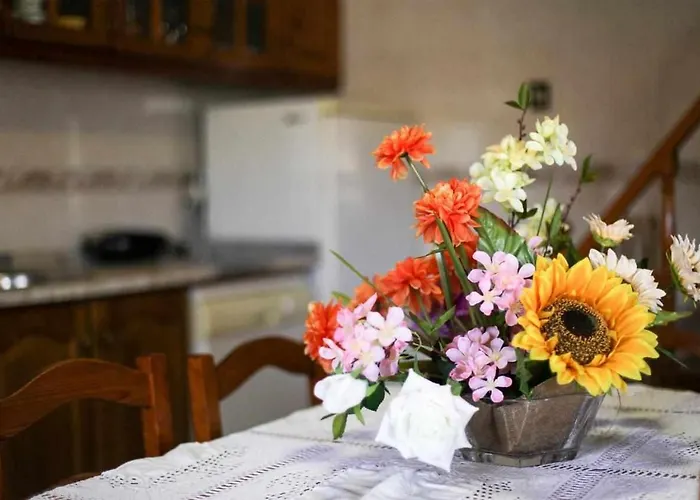 Do Salgueirinho Nyaraló Santo Tirso