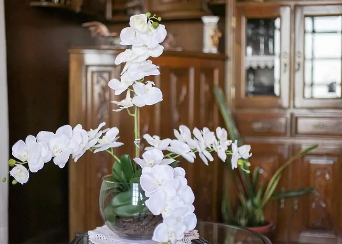 Do Salgueirinho Feriehus Santo Tirso